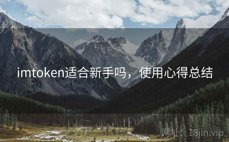 imtoken适合新手吗，使用心得总结